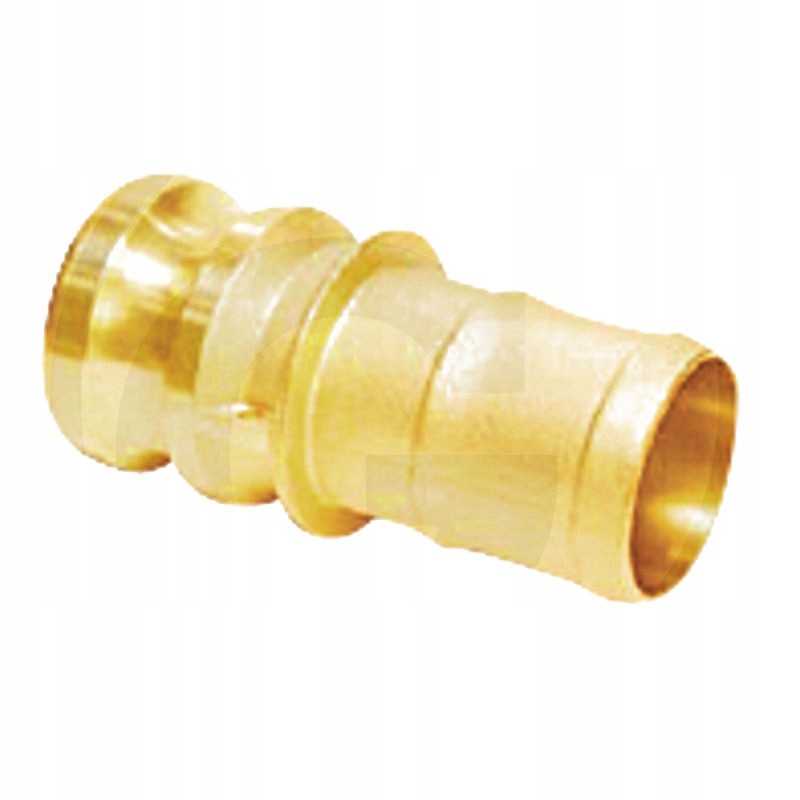 Lizdas camlock sistema e žalvaris 1 25