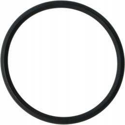 O žiedas 54x4mm sandarinimo poveržlė pl 100 2