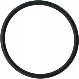 O žiedas 54x4mm sandarinimo poveržlė pl 100 2