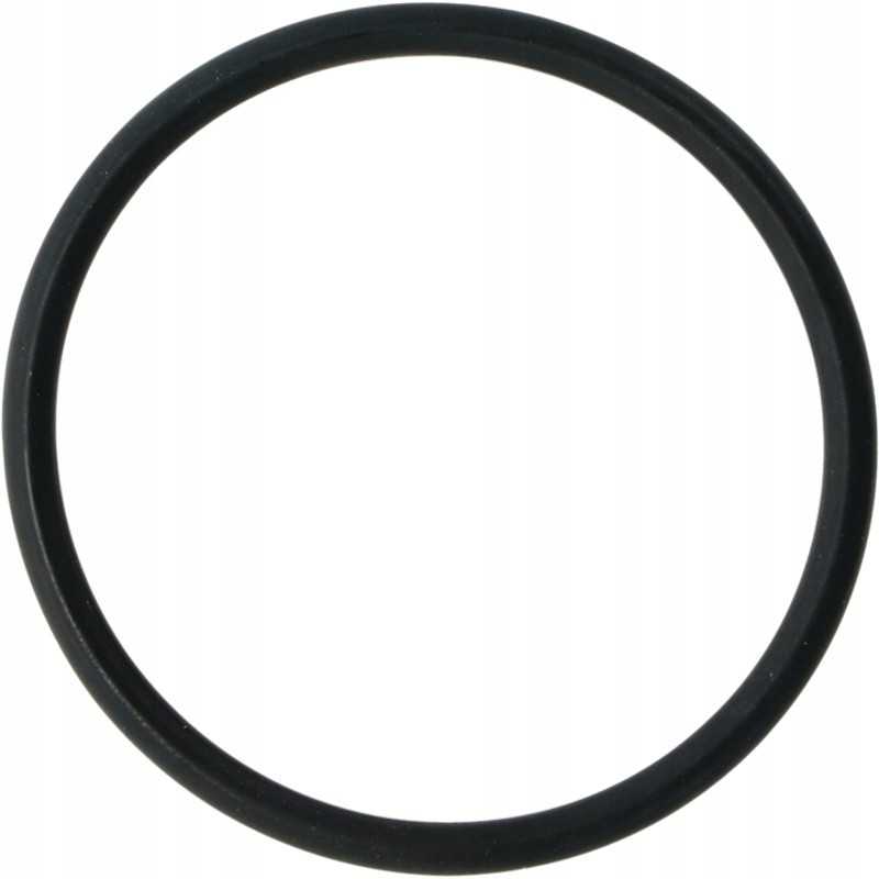 O žiedas 54x4mm sandarinimo poveržlė pl 100 2