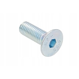 201120008 šešiakampis varžtas M10 x 30