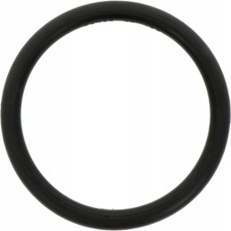 Bauer guminis sandarinimo žiedas hk 159 žemės ūkio