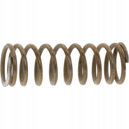 Šlifuota nerūdijančio plieno spyruoklė 26 9 x 75