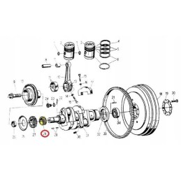 Alkūninio veleno paskirstymo pavara C 330 skropol