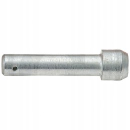 Dalgio vairuotojo kaištis 12 mm 42 mm