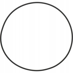 Mz sandarinimo žiedas 171 05 x 3 53 m