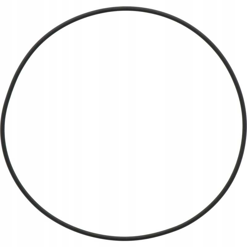 Mz sandarinimo žiedas 171 05 x 3 53 m
