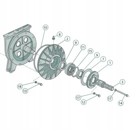 Jurop volelis 1 3 8 nuotrauka Nr.3