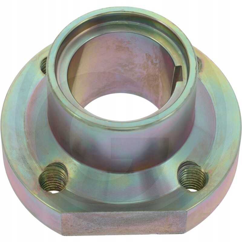 Jurop apykaklės nuotrauka Nr.3