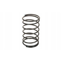 Slėgio spyruoklė kos centriniam diskui 2015020110