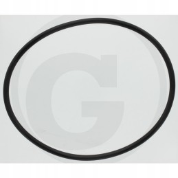 Mz oring 177 2x6 99mm 6