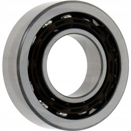 Guolių 7211 sliekinė pavara ir priedai