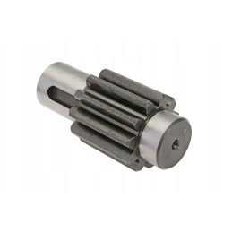 606050074 ritinėliai 11 z