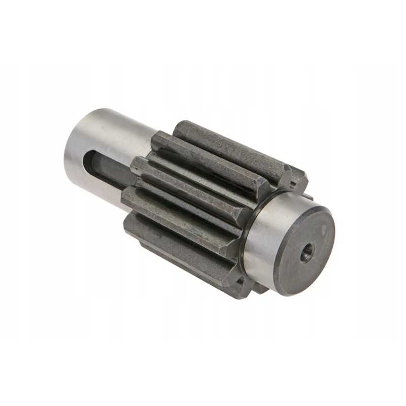 606050074 ritinėliai 11 z