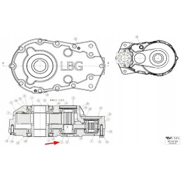 606050074 ritinėliai 11 z