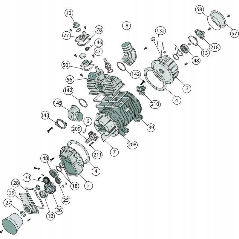 B p antspaudas 39 39