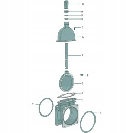 Mz viršutinė dalis 6
