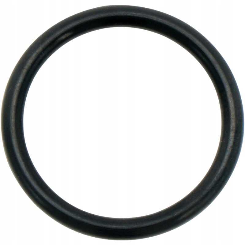 Oring 24 x 3 mm nbr vx 136