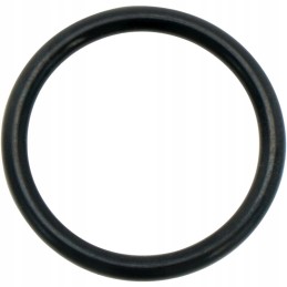 Oring 24 x 3 mm nbr vx 136