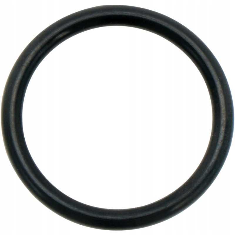 Oring 24 x 3 mm nbr vx 136