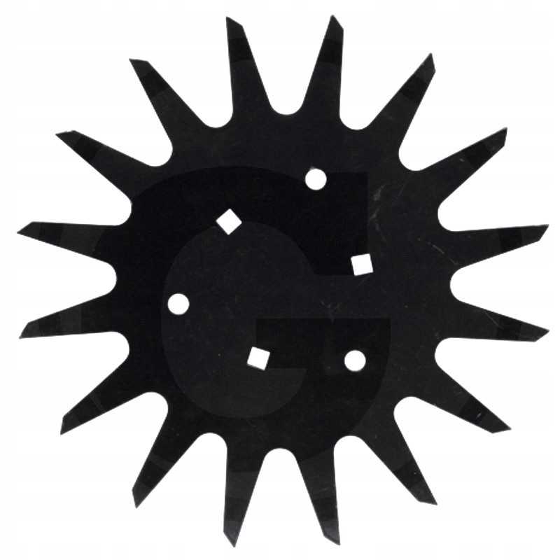 Žvaigždė poskiepis