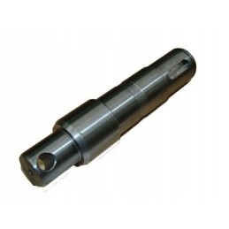 Vertikalus rnz pl pavaros velenas