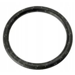 Sidabrinis sandarinimo žiedas 108mm 4 coliai