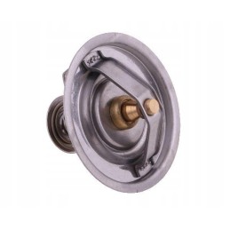 Termostatas g199204010020 fendt polmo