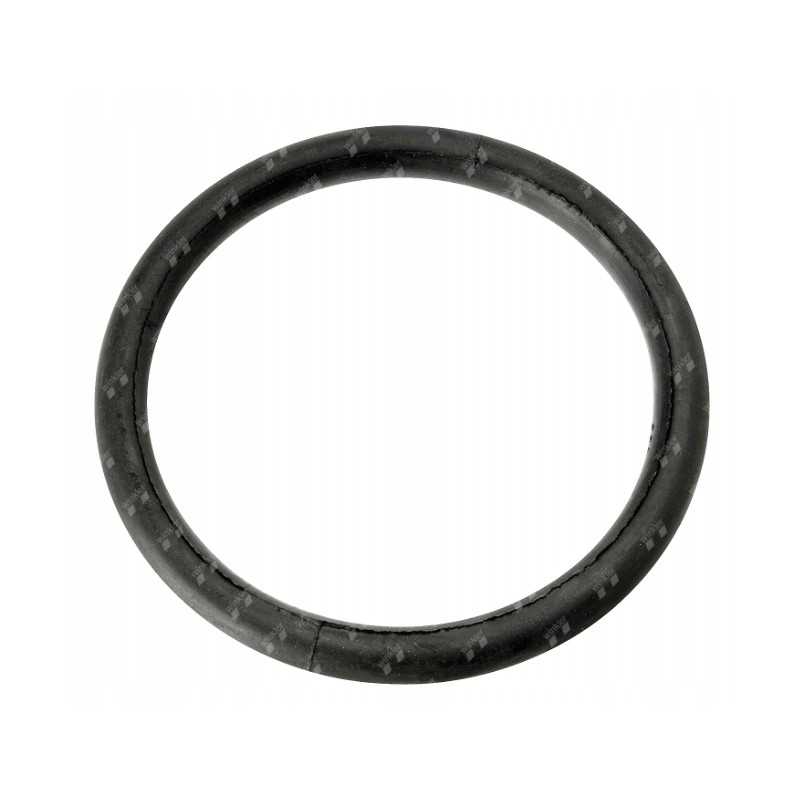 Sidabrinis sandarinimo žiedas oe220mm 8 colių