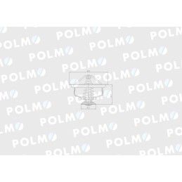 Termostatas g199204010020 fendt polmo