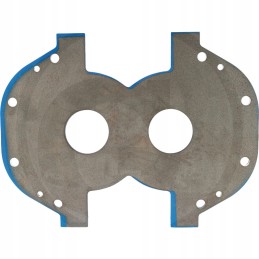 Bomik centrinė plokštė