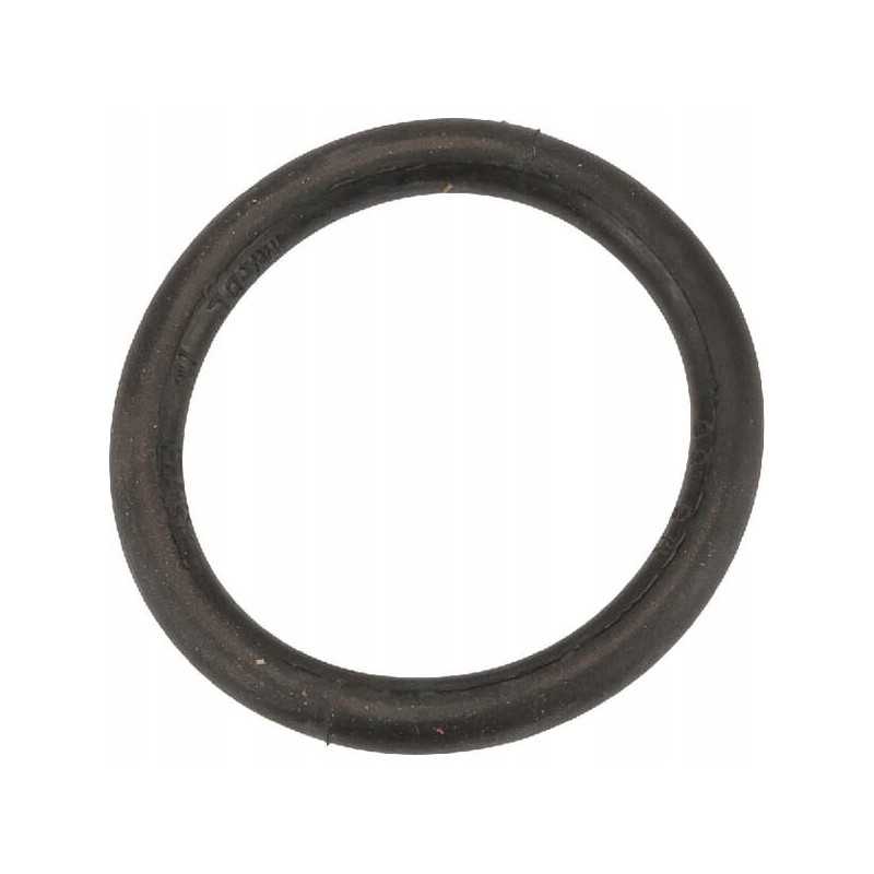 O žiedo sandarinimo žiedas 170x208x9 mm EPDM