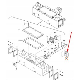 913733 stebulės kova