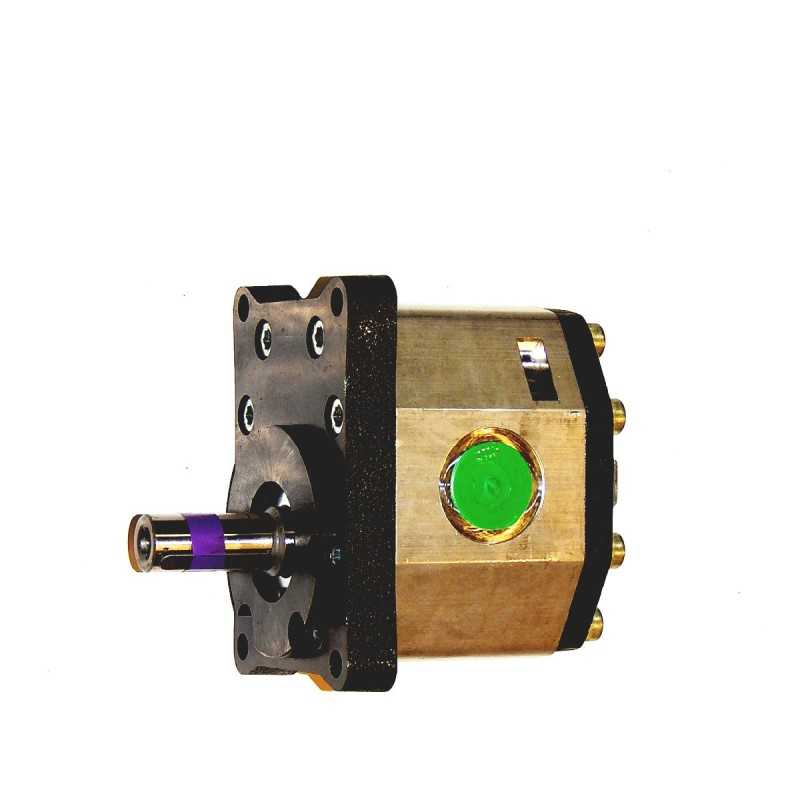 Hidraulinis siurblys cyclop pz2 kz 40p 40l hylmet