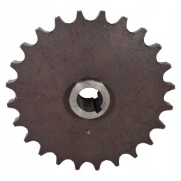 Mėšlo kratytuvo krumpliaratis 2219250030 su 24