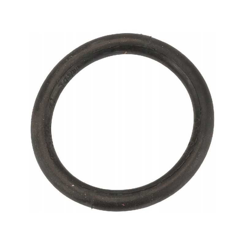 O žiedas moteriškoms jungtims 6 170x19mm 6652400