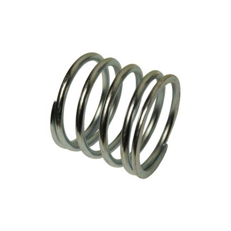 Spyruoklinis 63x74mm trąšų barstytuvas rnz 201202013