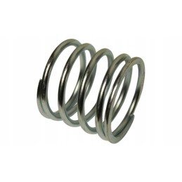 Spyruoklinis 63x74mm trąšų barstytuvas rnz 201202013