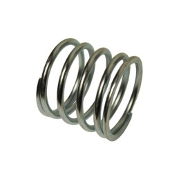 Spyruoklinis 63x74mm trąšų barstytuvas rnz 201202013