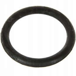 Guminis tarpiklis srutų cisternos kamščiui 108