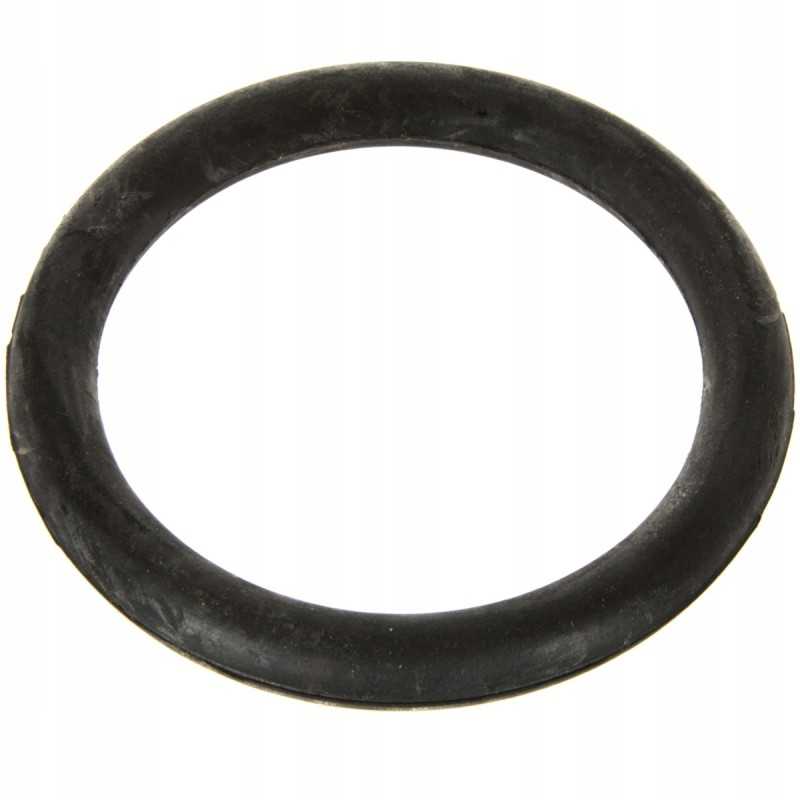 Guminis tarpiklis srutų cisternos kamščiui 108