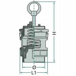 Apsauginis vožtuvas 405086032000