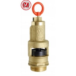 Apsauginis vožtuvas 70mm 2 coliai 195mm m