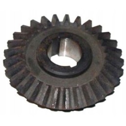 Kampinis ratas su 29 ritinėliais