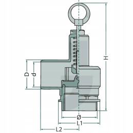 2 colių cilindrinio tanklaivio apsauginis vožtuvas