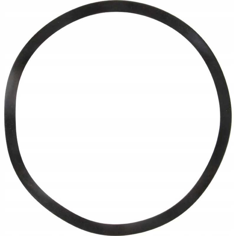 Išlyginimo žiedas fi 100 mm 4026300025