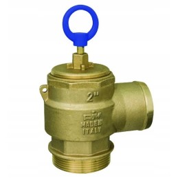 Apsauginis vožtuvas 2 colių riv250