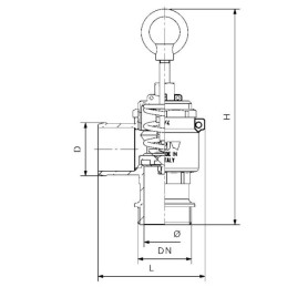 Apsauginis vožtuvas 2 colių riv250
