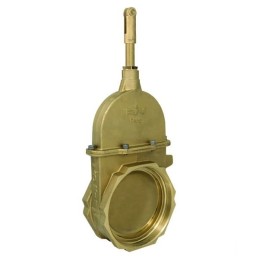 Statinės bako vožtuvas 6 colių, 2x sriegis