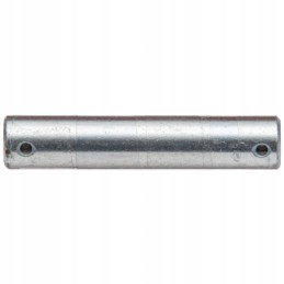 Smeigtuko kaištis 6882211030100 agtech